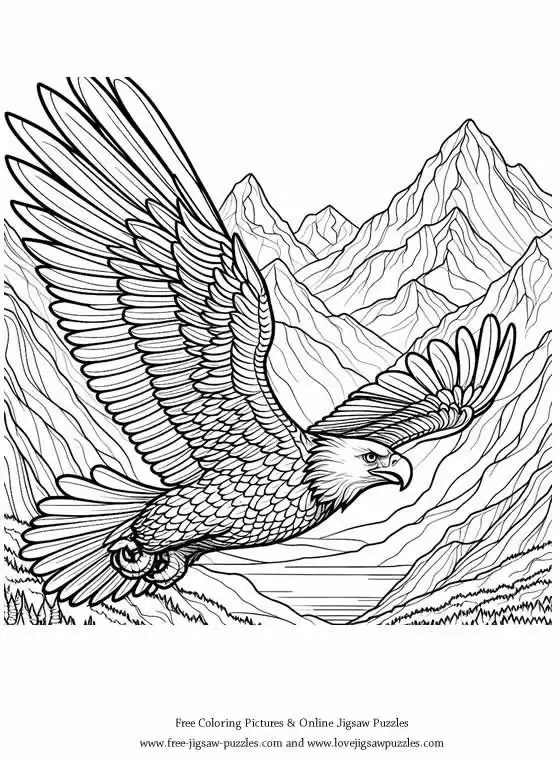 Bald Eagle picture for coloring and printing - Free Picture 22