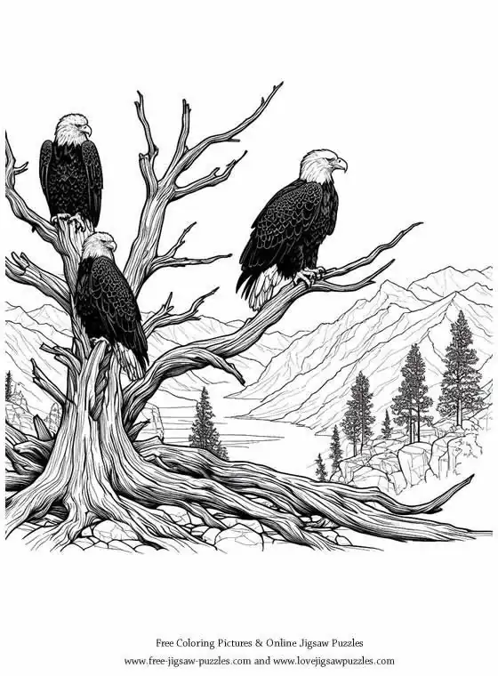 Bald Eagle picture for coloring and printing - Free Picture 25