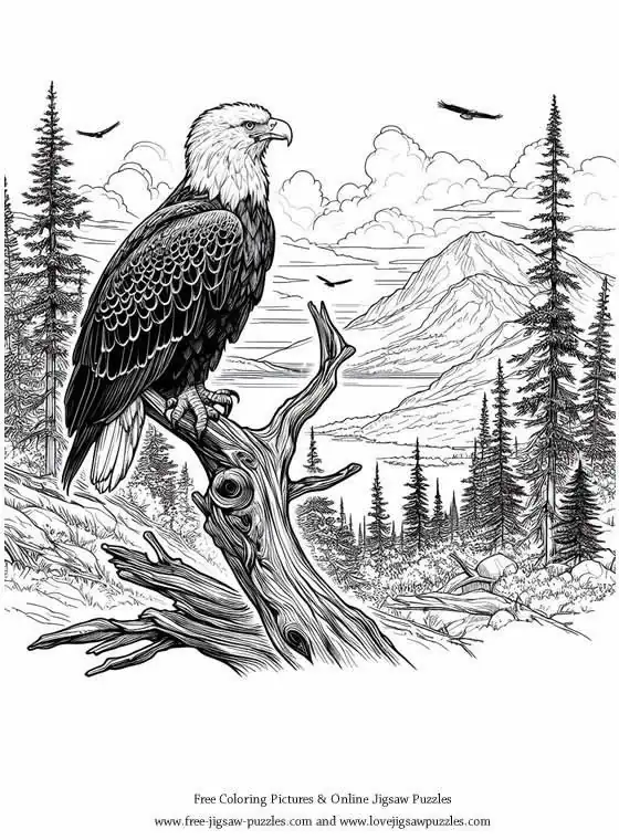 Bald Eagle picture for coloring and printing - Free Picture 26