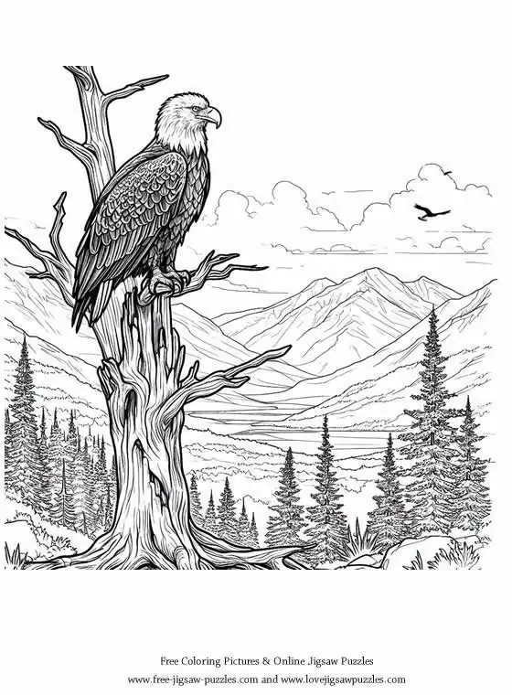 Bald Eagle picture for coloring and printing - Free Picture 28