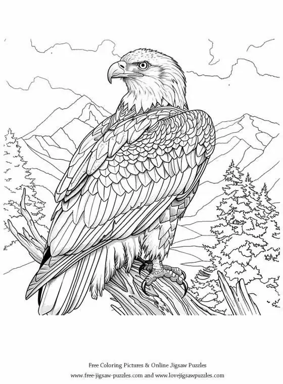 Bald Eagle picture for coloring and printing - Free Picture 29
