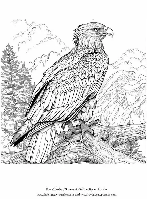 Bald Eagle picture for coloring and printing - Free Picture 30