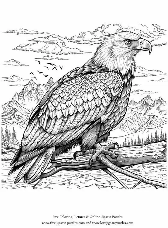 Bald Eagle picture for coloring and printing - Free Picture 31