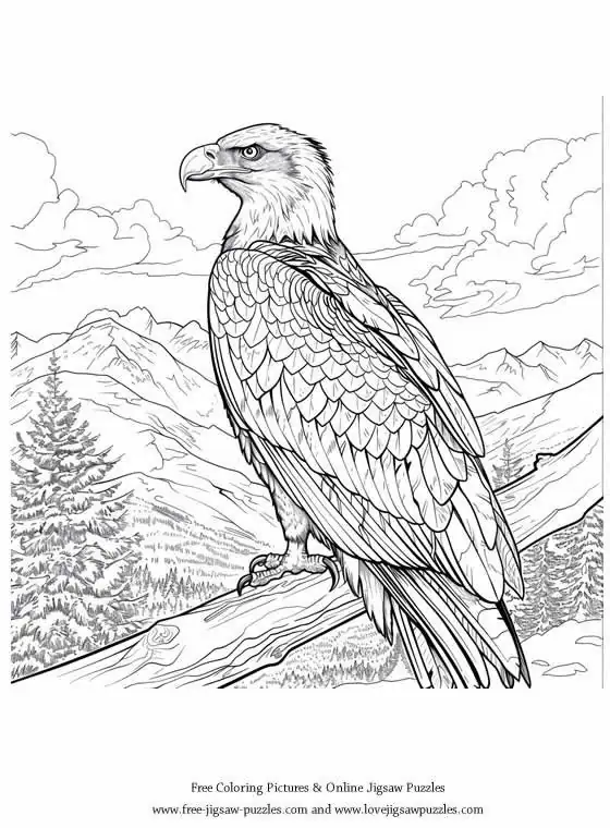 Bald Eagle picture for coloring and printing - Free Picture 32