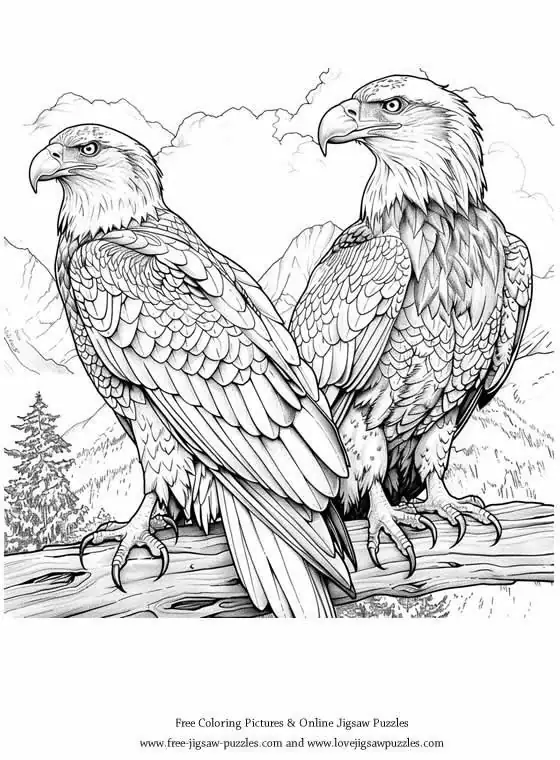 Bald Eagle picture for coloring and printing - Free Picture 33