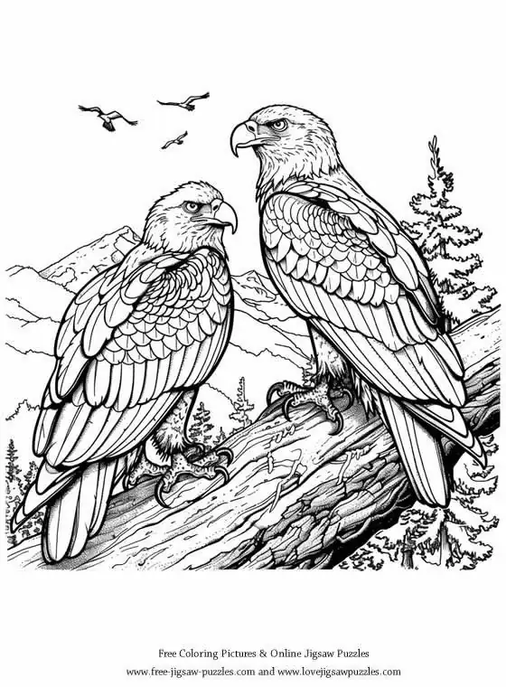Bald Eagle picture for coloring and printing - Free Picture 34