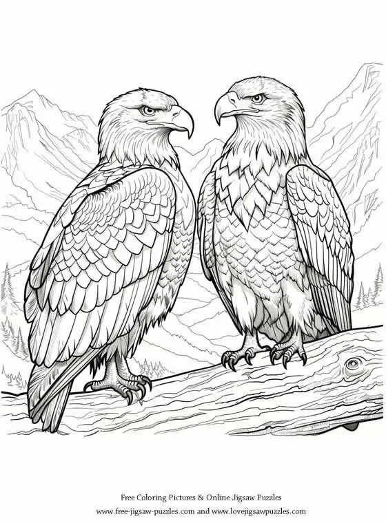Bald Eagle picture for coloring and printing - Free Picture 36