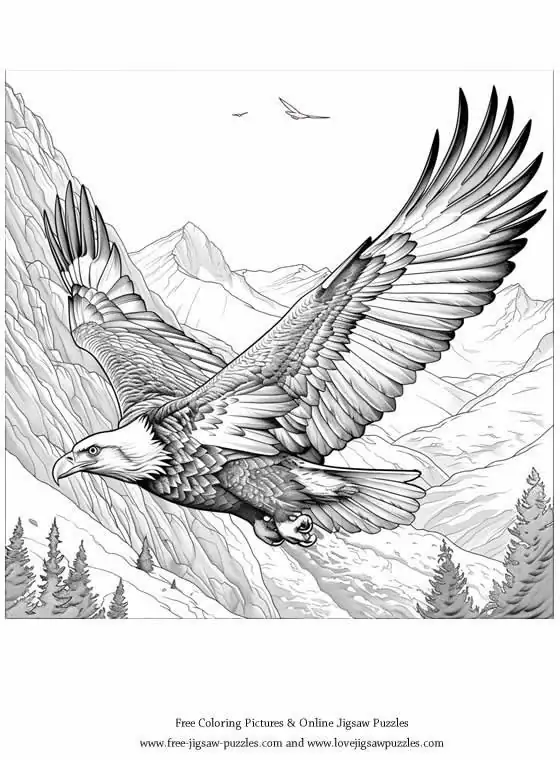 Bald Eagle picture for coloring and printing - Free Picture 37
