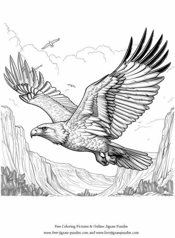 Bald Eagle picture for coloring and printing - Free Picture 39