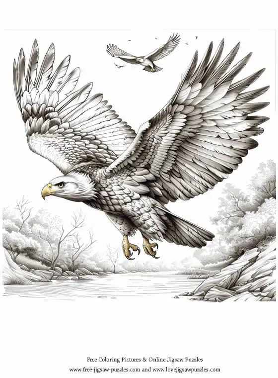 Bald Eagle picture for coloring and printing - Free Picture 40