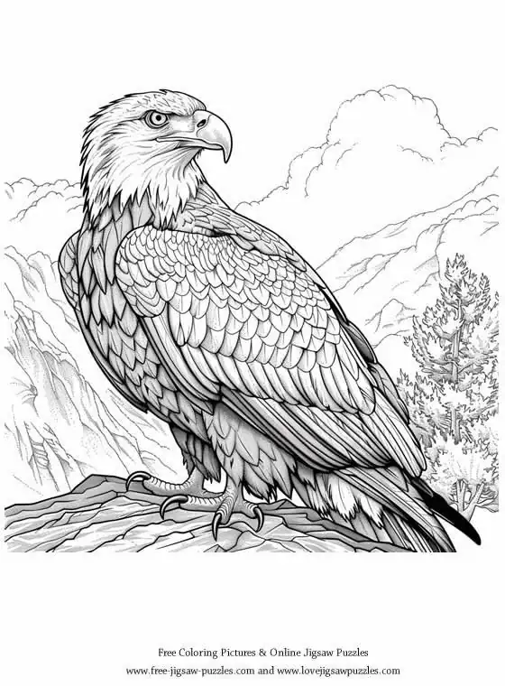 Bald Eagle picture for coloring and printing - Free Picture 41