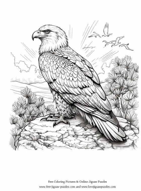 Bald Eagle picture for coloring and printing - Free Picture 44