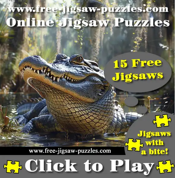 American Alligator Online Jigsaw Puzzles