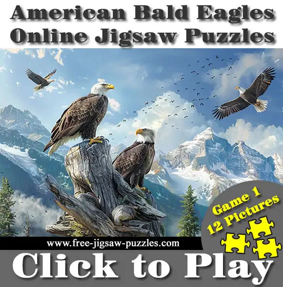 American Bald Eagle Online Jigsaw Puzzles