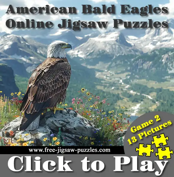 13 American Bald Eagle Online Jigsaw Puzzles | Game 2