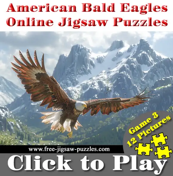 12 Bald Eagle Online Jigsaw Puzzles | Game 3