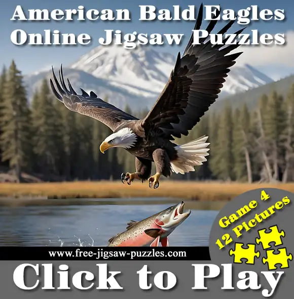 12 Bald Eagle Jigsaw Puzzles | Game 4