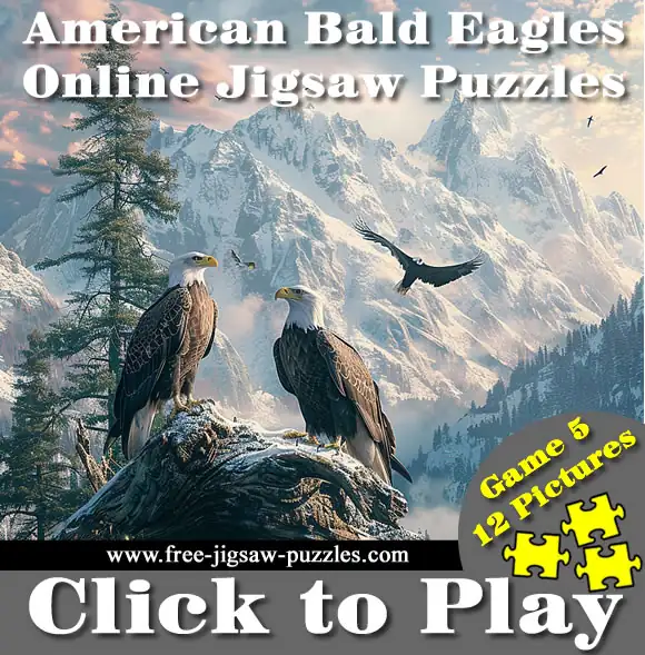 12 Bald Eagle Jigsaw Puzzles | Game 5