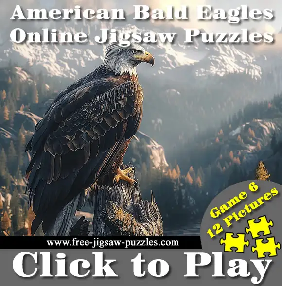 12 Bald Eagle Jigsaw Puzzles | Game 6