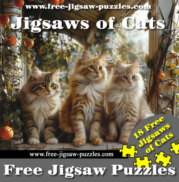 Jigsaws of Cats Game 2