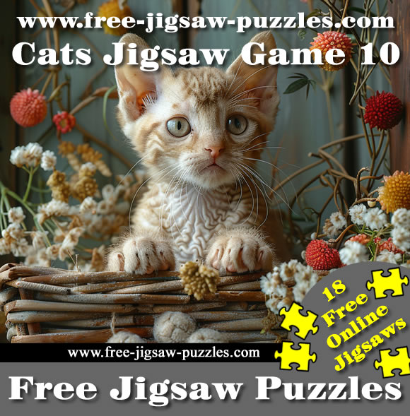 Cats | Cute and Funny Cat Jigsaws 10