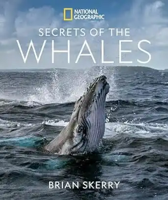 Secrets of the Whales. Hardcover book by Brian Skerry - Amazon Books
