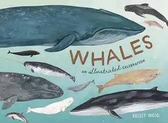 Book - Whales an Illustrated Celebration