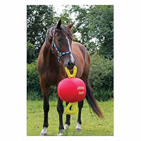 Toys and Enrichment for Horses