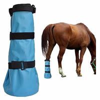 Horse Boots & Wraps