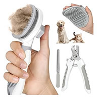 Amazon Home Improvement and Tools